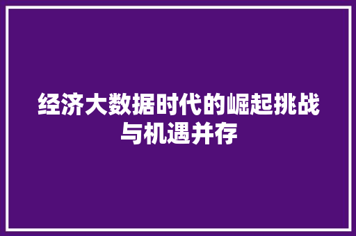 经济大数据时代的崛起挑战与机遇并存