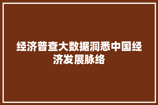 经济普查大数据洞悉中国经济发展脉络