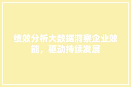 绩效分析大数据洞察企业效能，驱动持续发展