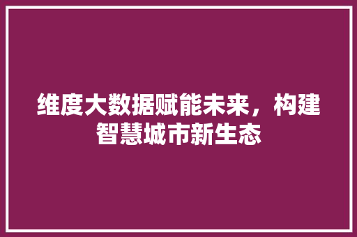 维度大数据赋能未来，构建智慧城市新生态