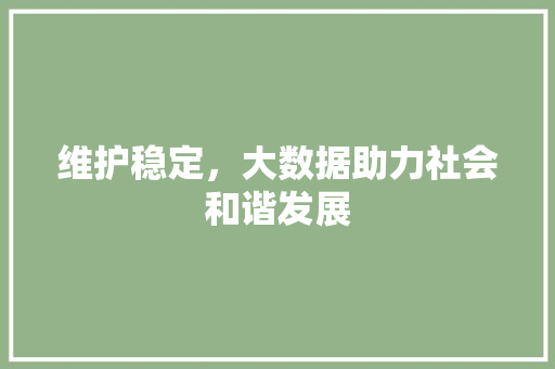 维护稳定，大数据助力社会和谐发展