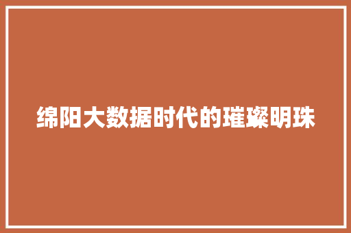 绵阳大数据时代的璀璨明珠