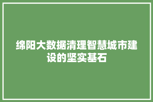 绵阳大数据清理智慧城市建设的坚实基石