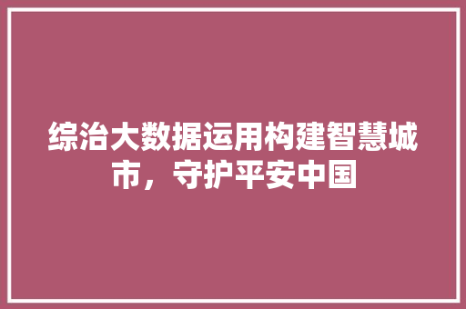 综治大数据运用构建智慧城市，守护平安中国