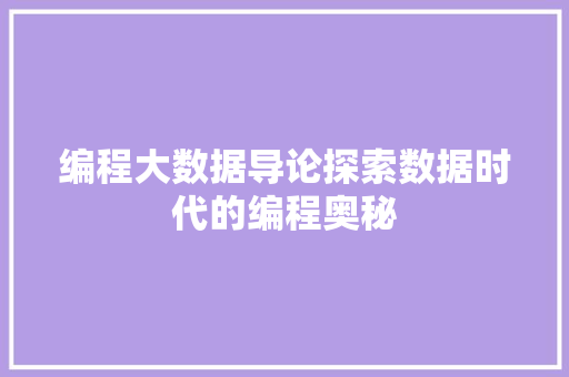 编程大数据导论探索数据时代的编程奥秘