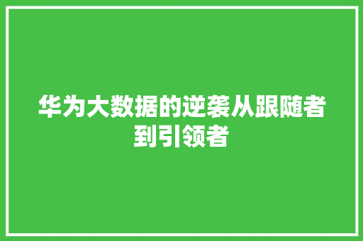 华为大数据的逆袭从跟随者到引领者  第1张