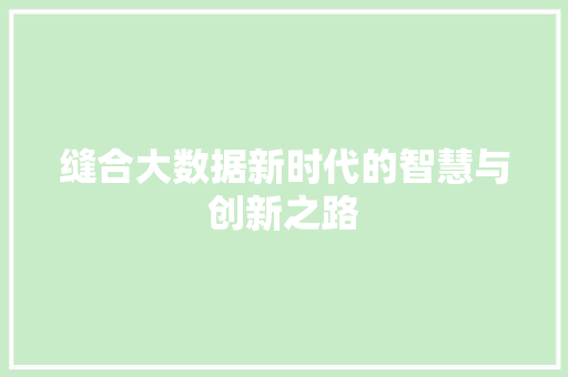 缝合大数据新时代的智慧与创新之路  第1张