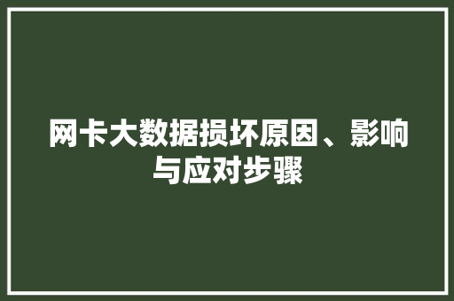 网卡大数据损坏原因、影响与应对步骤