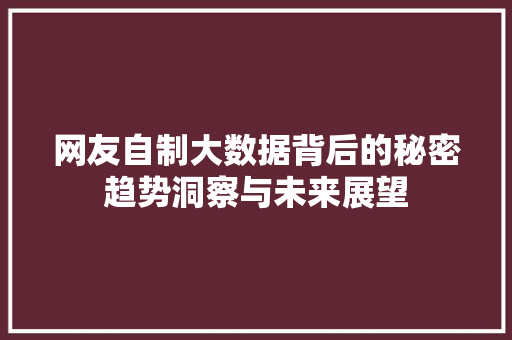 网友自制大数据背后的秘密趋势洞察与未来展望