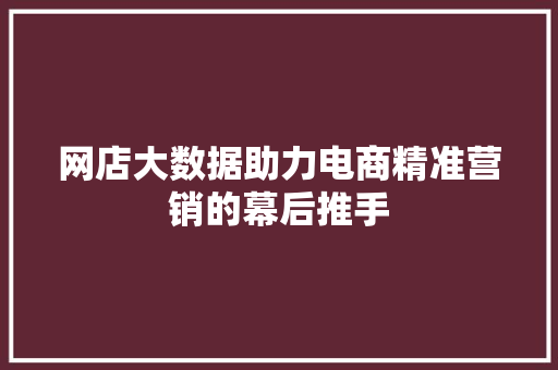 网店大数据助力电商精准营销的幕后推手  第1张