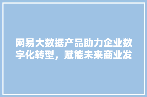 网易大数据产品助力企业数字化转型，赋能未来商业发展
