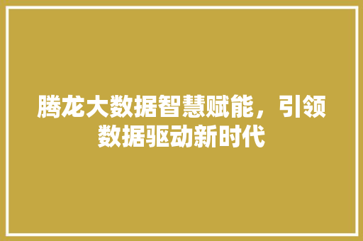 腾龙大数据智慧赋能，引领数据驱动新时代  第1张