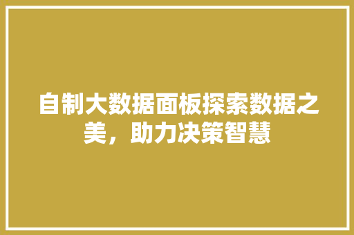 自制大数据面板探索数据之美，助力决策智慧