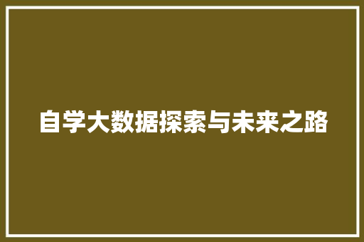 自学大数据探索与未来之路  第1张