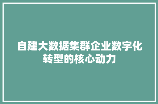 自建大数据集群企业数字化转型的核心动力