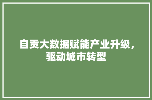 自贡大数据赋能产业升级，驱动城市转型