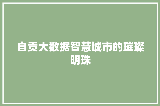 自贡大数据智慧城市的璀璨明珠