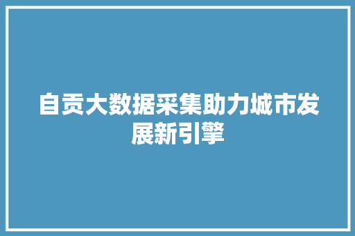 自贡大数据采集助力城市发展新引擎