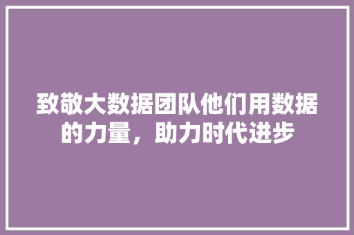 致敬大数据团队他们用数据的力量，助力时代进步