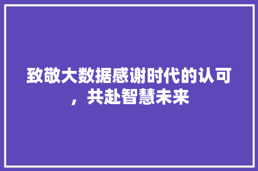 致敬大数据感谢时代的认可，共赴智慧未来