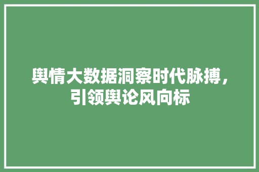 舆情大数据洞察时代脉搏，引领舆论风向标  第1张