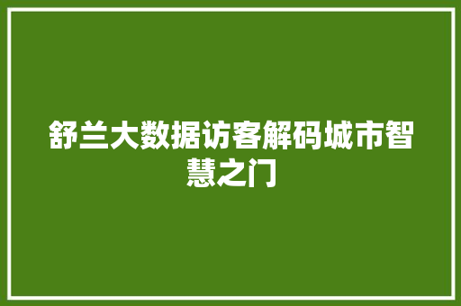 舒兰大数据访客解码城市智慧之门