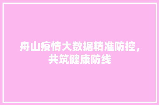舟山疫情大数据精准防控，共筑健康防线