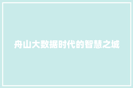 舟山大数据时代的智慧之城