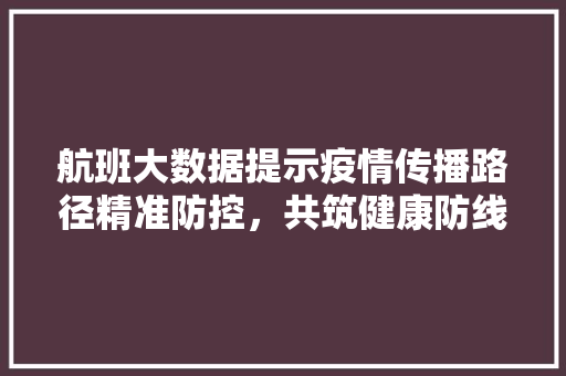航班大数据提示疫情传播路径精准防控，共筑健康防线