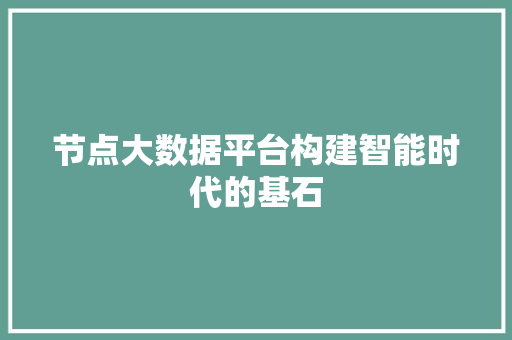 节点大数据平台构建智能时代的基石