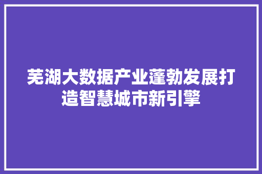 芜湖大数据产业蓬勃发展打造智慧城市新引擎