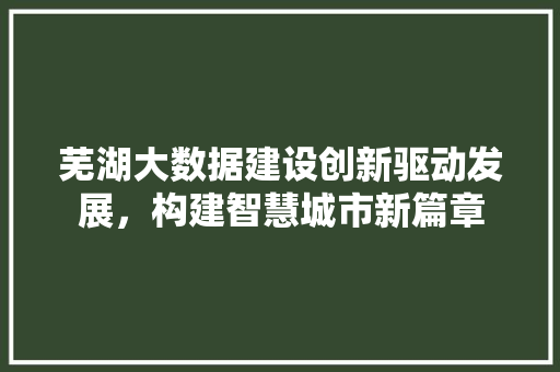 芜湖大数据建设创新驱动发展，构建智慧城市新篇章