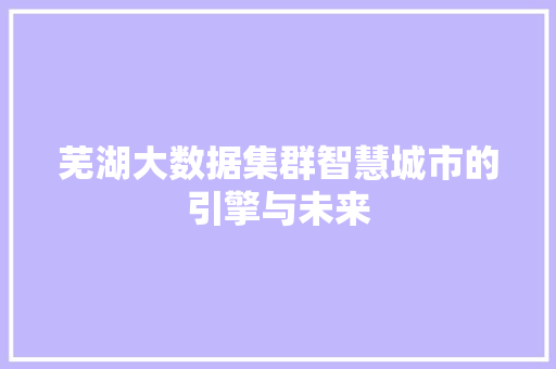 芜湖大数据集群智慧城市的引擎与未来