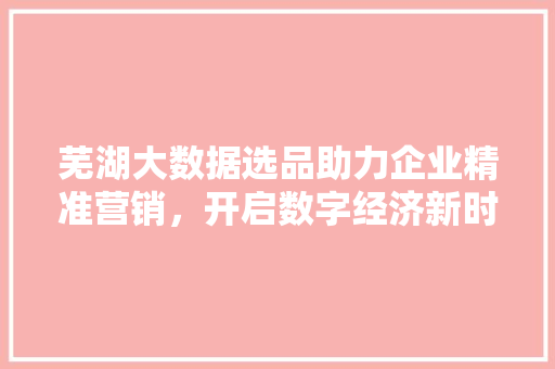芜湖大数据选品助力企业精准营销，开启数字经济新时代