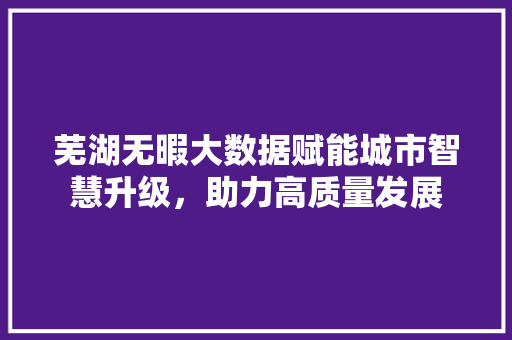 芜湖无暇大数据赋能城市智慧升级，助力高质量发展