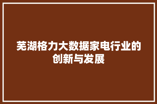 芜湖格力大数据家电行业的创新与发展