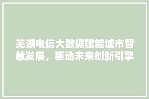 芜湖电信大数据赋能城市智慧发展，驱动未来创新引擎