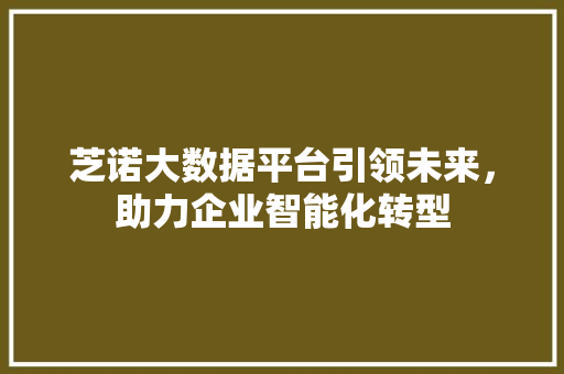 芝诺大数据平台引领未来，助力企业智能化转型