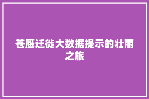 苍鹰迁徙大数据提示的壮丽之旅