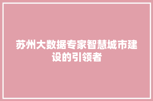 苏州大数据专家智慧城市建设的引领者