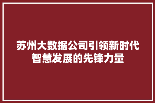 苏州大数据公司引领新时代智慧发展的先锋力量  第1张