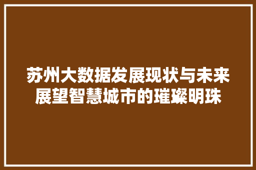 苏州大数据发展现状与未来展望智慧城市的璀璨明珠  第1张