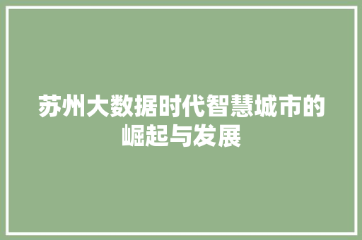 苏州大数据时代智慧城市的崛起与发展  第1张