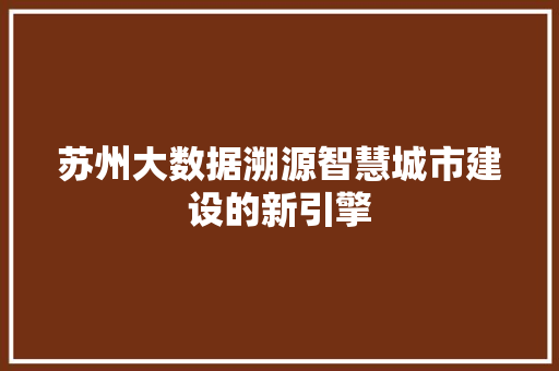 苏州大数据溯源智慧城市建设的新引擎
