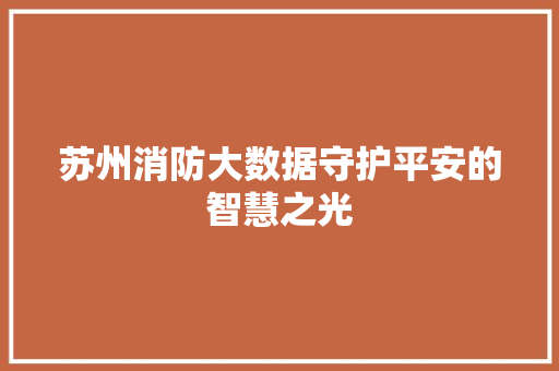 苏州消防大数据守护平安的智慧之光