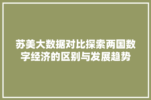 苏美大数据对比探索两国数字经济的区别与发展趋势