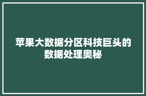 苹果大数据分区科技巨头的数据处理奥秘