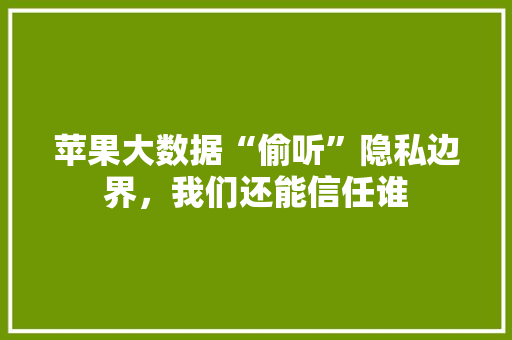 苹果大数据“偷听”隐私边界，我们还能信任谁