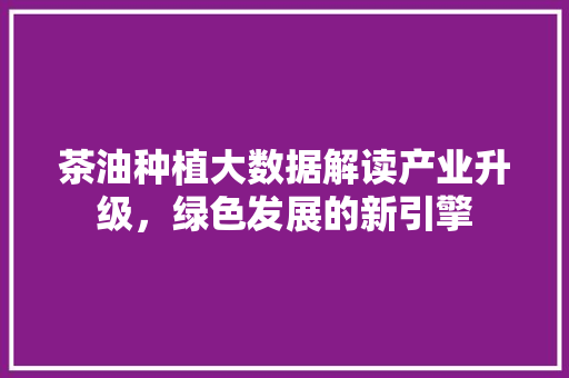 茶油种植大数据解读产业升级，绿色发展的新引擎