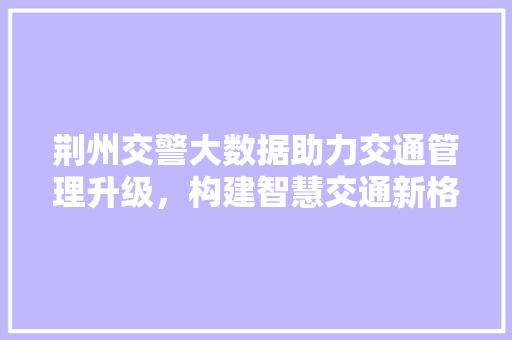 荆州交警大数据助力交通管理升级，构建智慧交通新格局  第1张